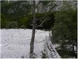 Planina Polog - Planina Dobrenjščica